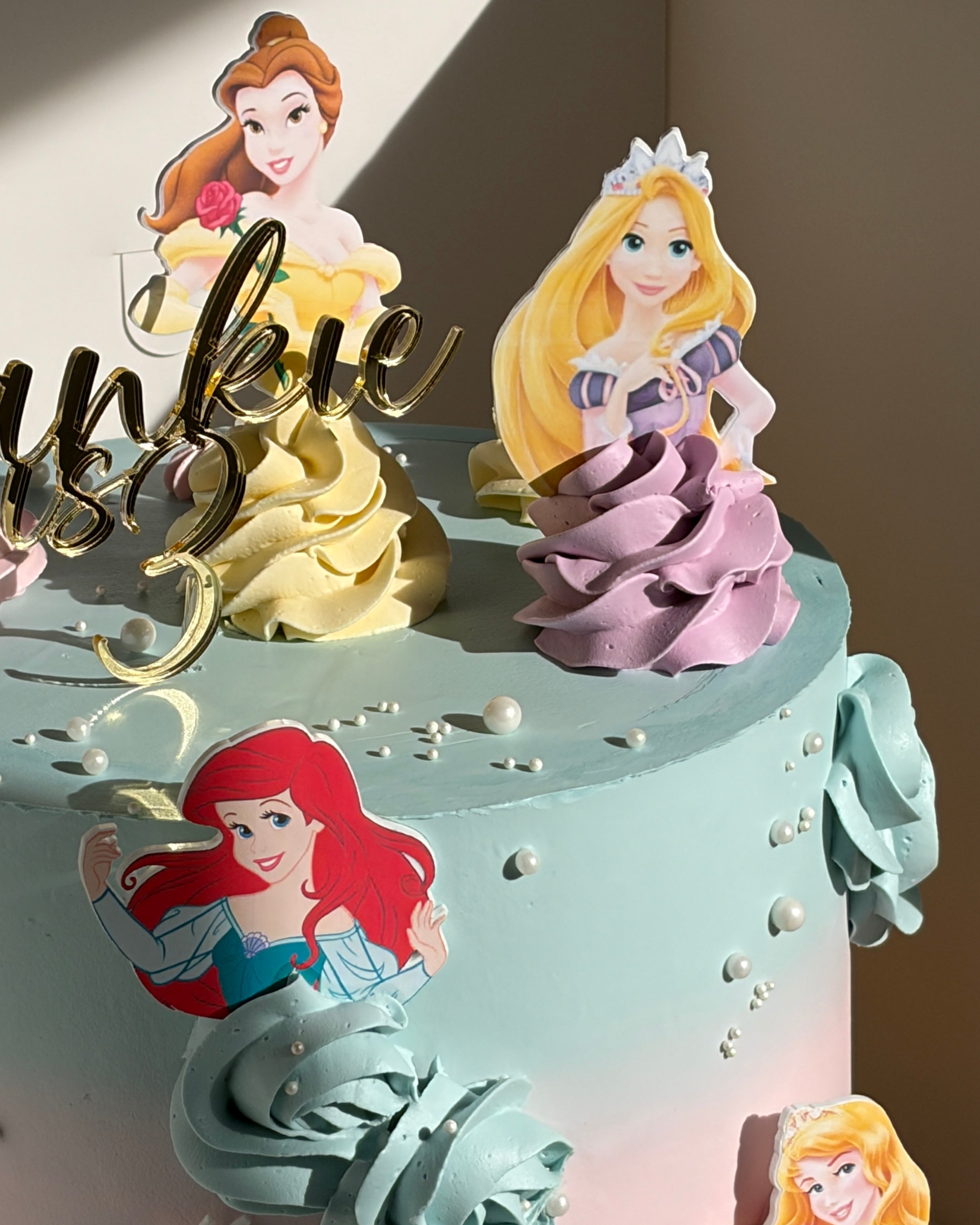 The Princess Dream